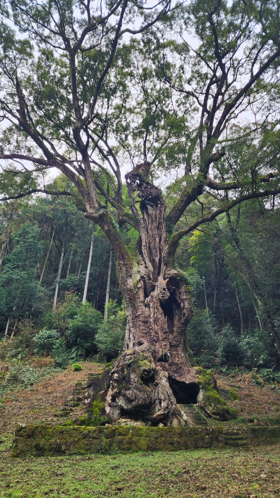 20240202%EF%BC%BF134842.jpg?type=w1