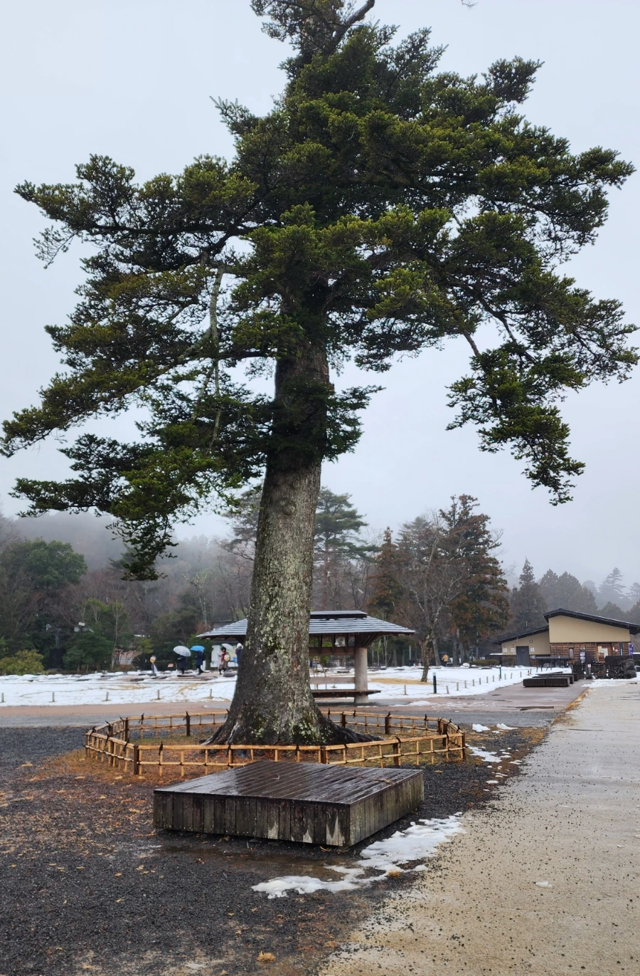 20230213%EF%BC%BF112058.jpg?type=w1