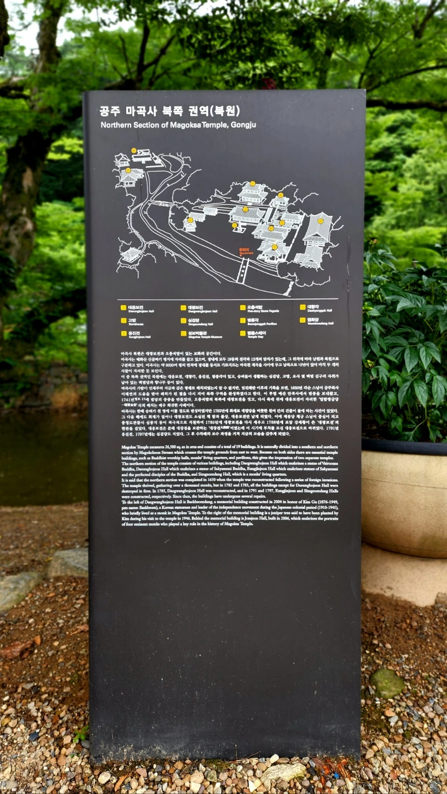 20220625%EF%BC%BF090959.jpg?type=w1