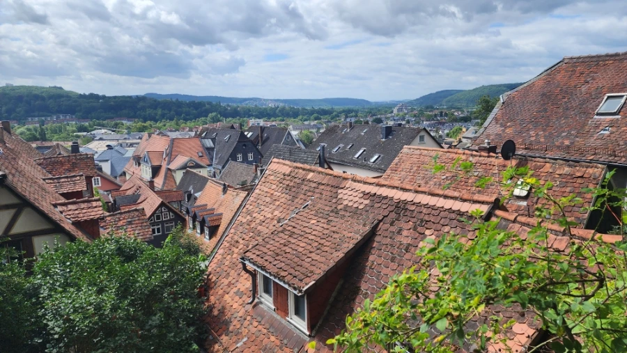 20230703%EF%BC%BF110936_%EF%BC%881%EF%BC%89.jpg?type=w1