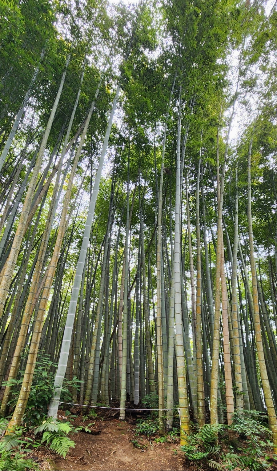 20240202%EF%BC%BF135140.jpg?type=w1