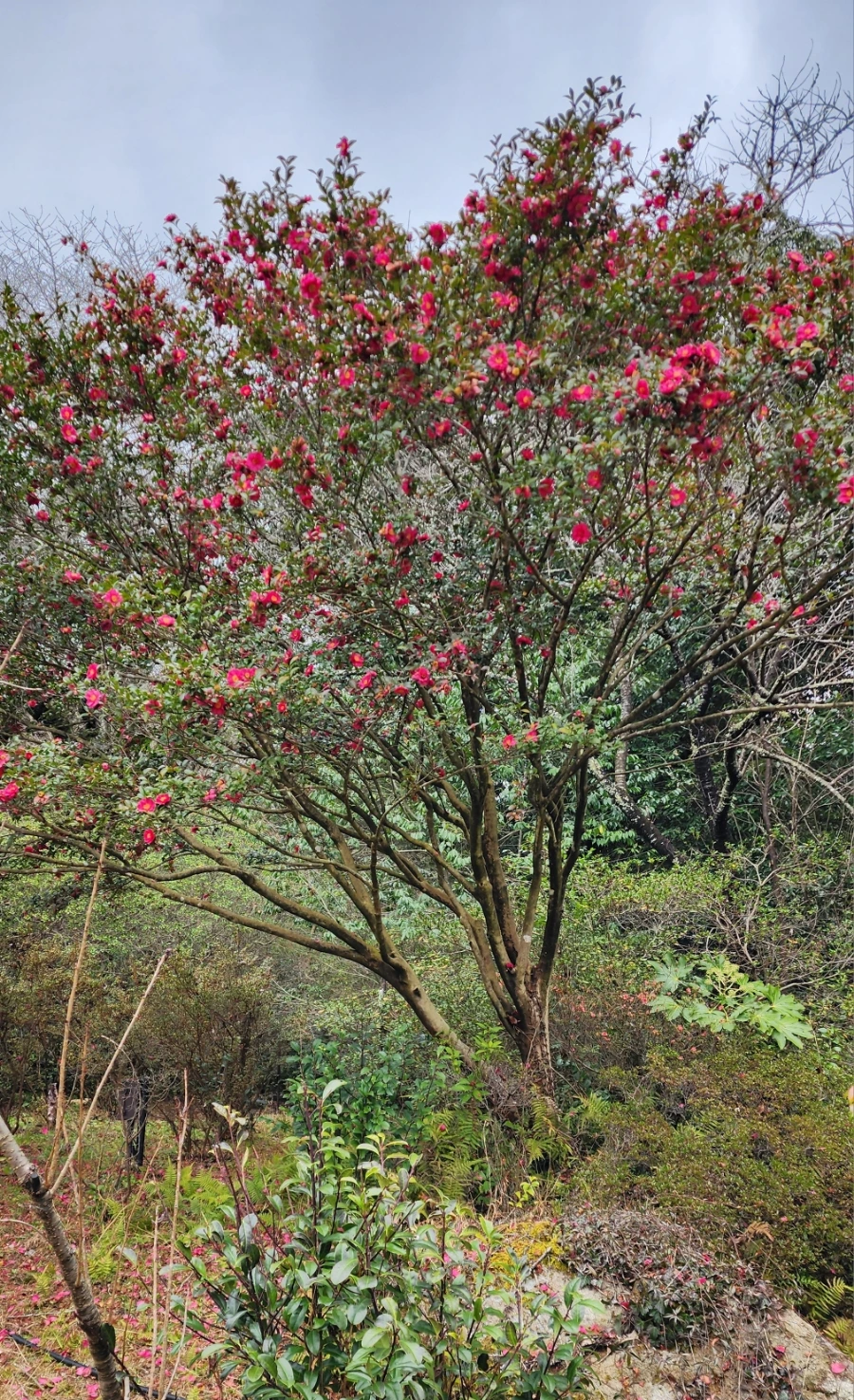 20240202%EF%BC%BF143535.jpg?type=w1