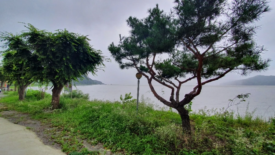 20190731_122437.jpg?type=w1