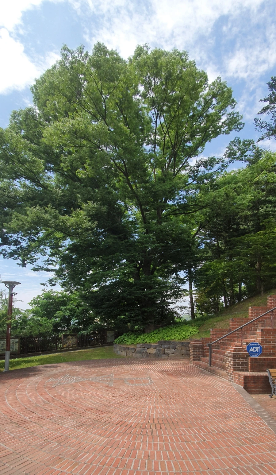 20210619%EF%BC%BF140620.jpg?type=w1