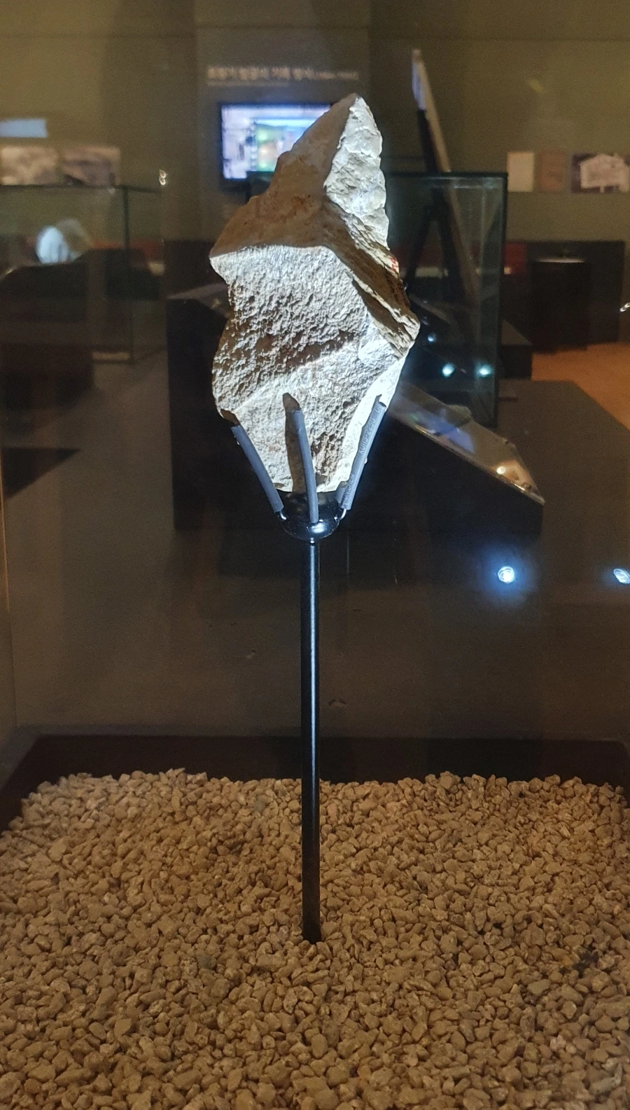 20210622%EF%BC%BF144429.jpg?type=w1