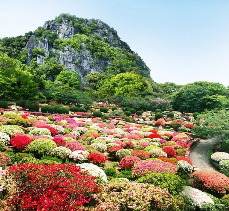 Screenshot%EF%BC%BF20240421%EF%BC%BF094242%EF%BC%BFNAVER.jpg?type=w1