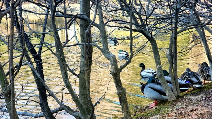 20230208%EF%BC%BF093940.jpg?type=w1