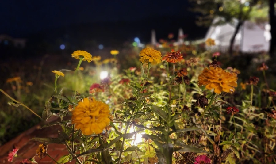 20221009%EF%BC%BF203012.jpg?type=w1