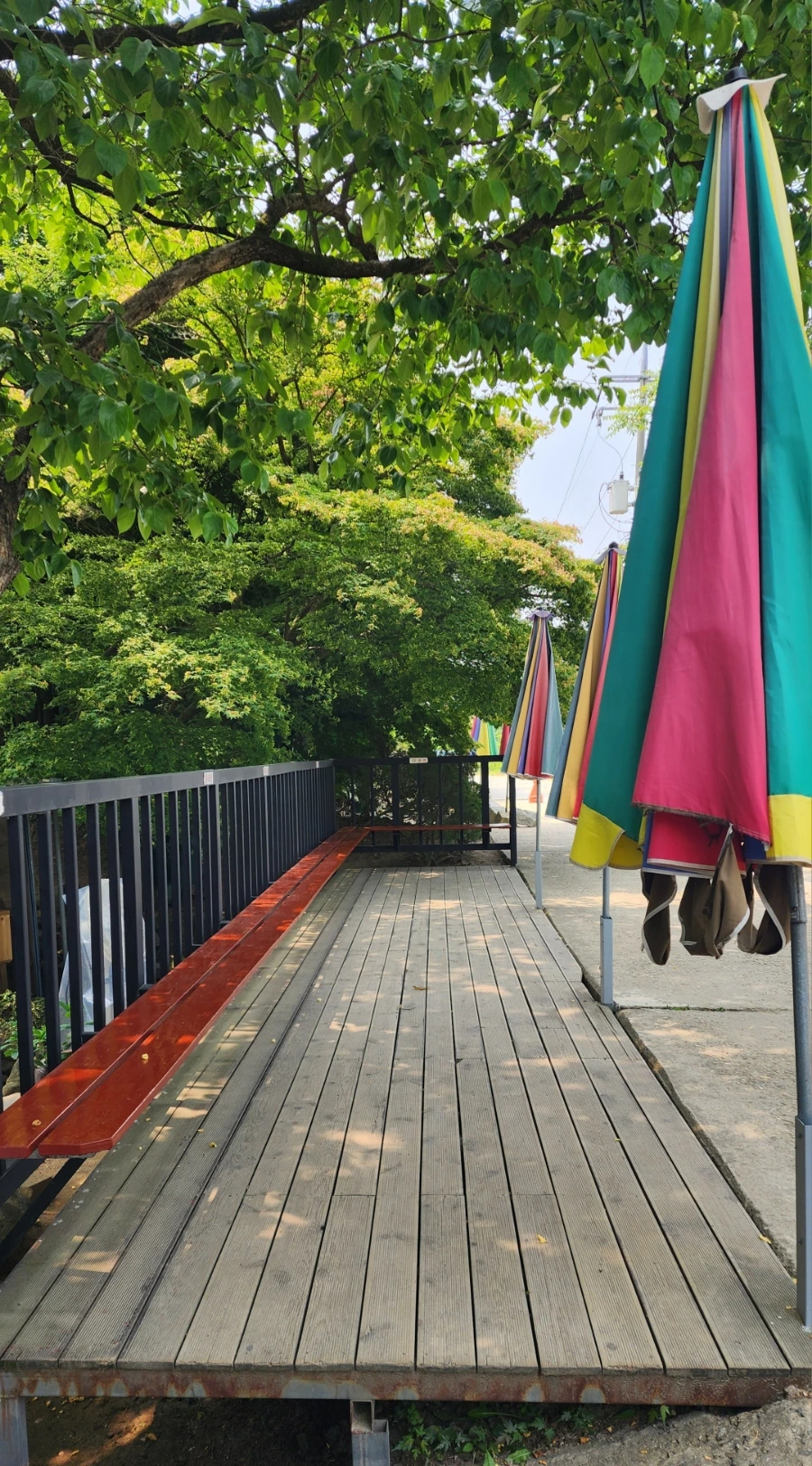 20240524%EF%BC%BF111620.jpg?type=w1