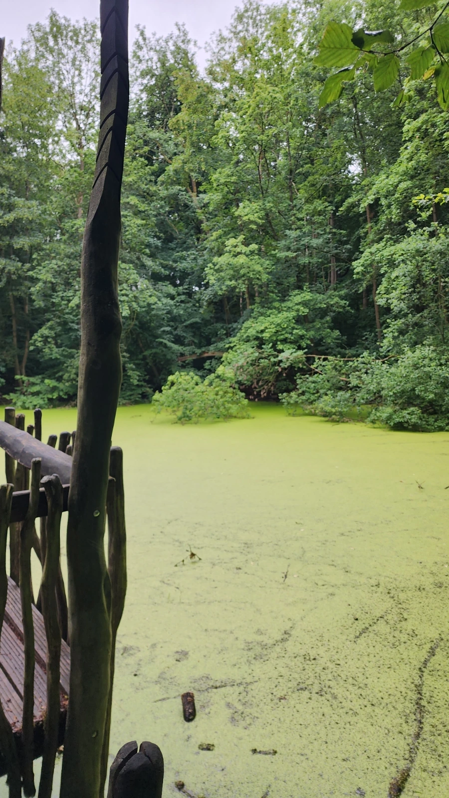 20230630%EF%BC%BF172627.jpg?type=w1