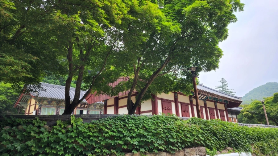 20220625%EF%BC%BF094952.jpg?type=w1