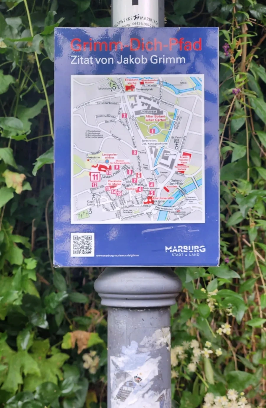 20230703%EF%BC%BF114139.jpg?type=w1