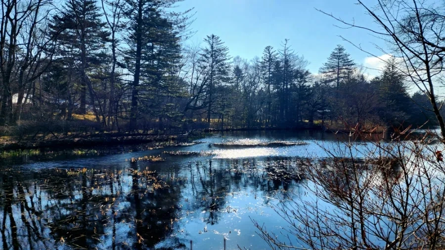 20230208%EF%BC%BF094617.jpg?type=w1