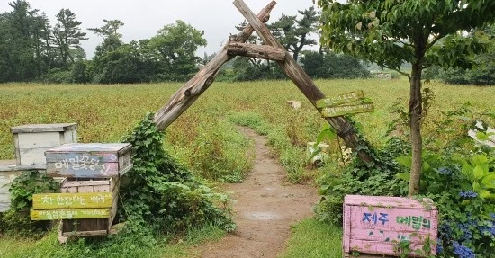 20210711_1550561.jpg?type=w1