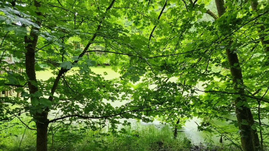 20230630%EF%BC%BF172647.jpg?type=w1