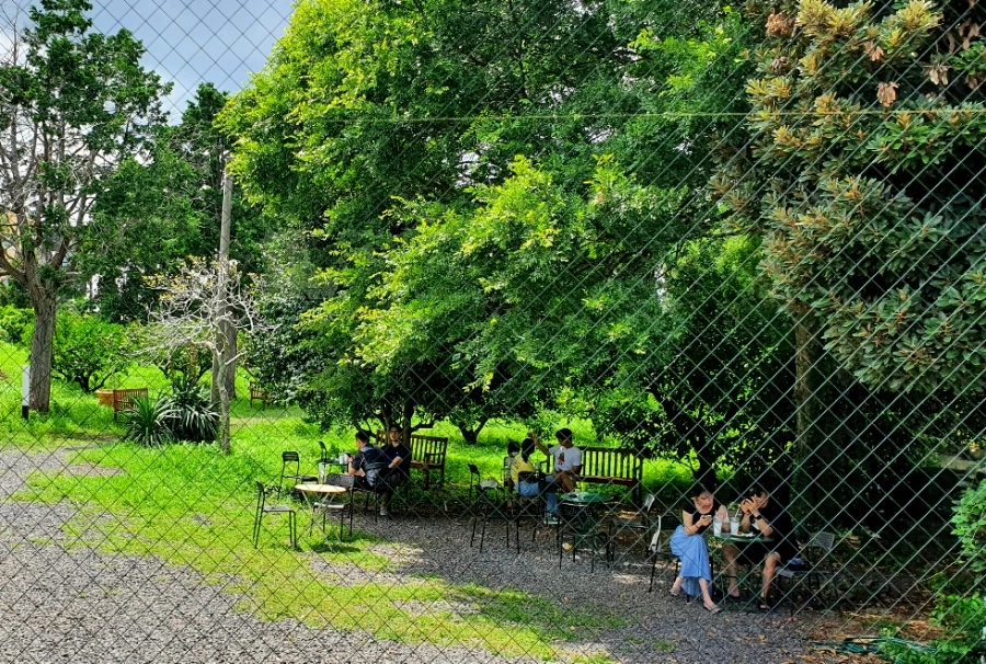 20210716_135147.jpg?type=w1