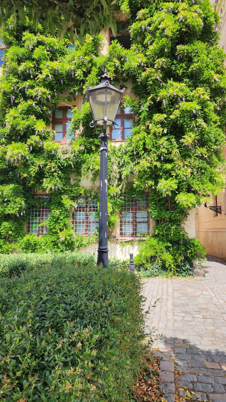 20230628%EF%BC%BF132955.jpg?type=w1