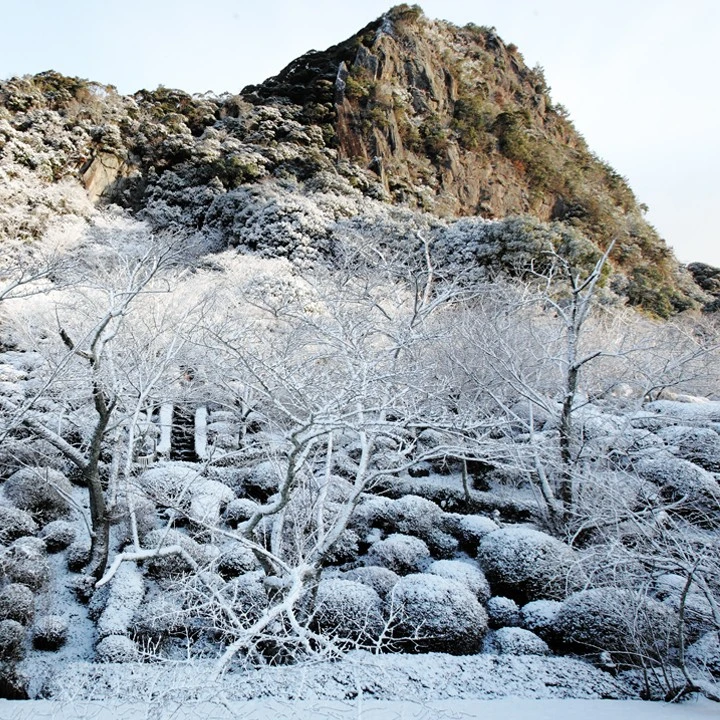 sec%EF%BC%BFimg1.jpg?type=w1