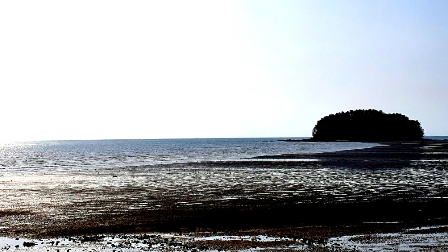 20191031_225138.jpg?type=w1