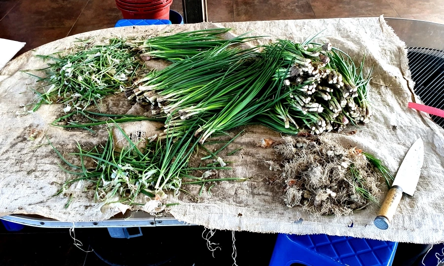 20191031_225451.jpg?type=w1