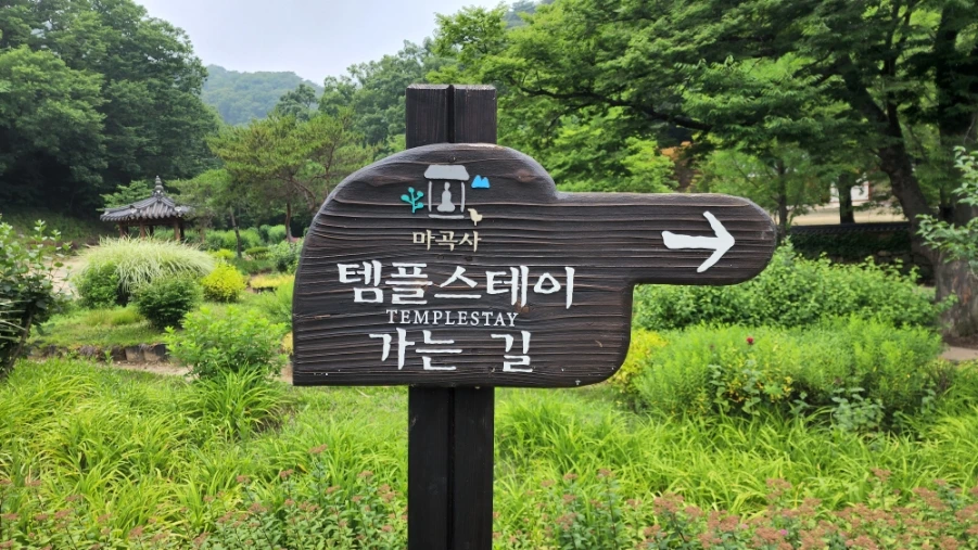 20220625%EF%BC%BF085635.jpg?type=w1