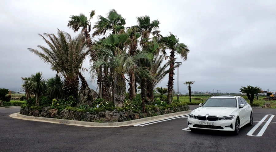 20210706_114611.jpg?type=w1