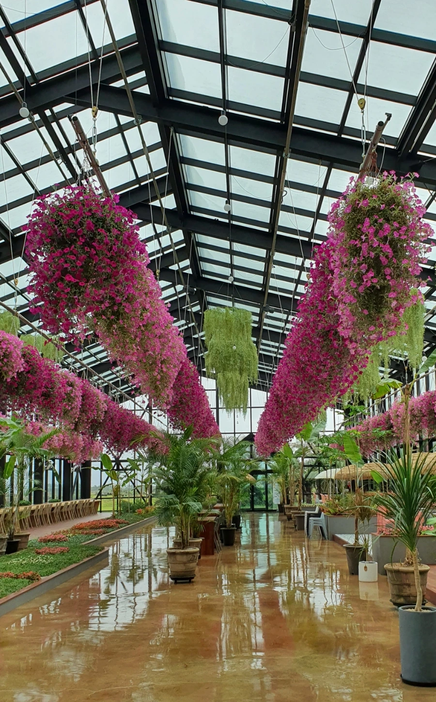 20210706_105832.jpg?type=w1