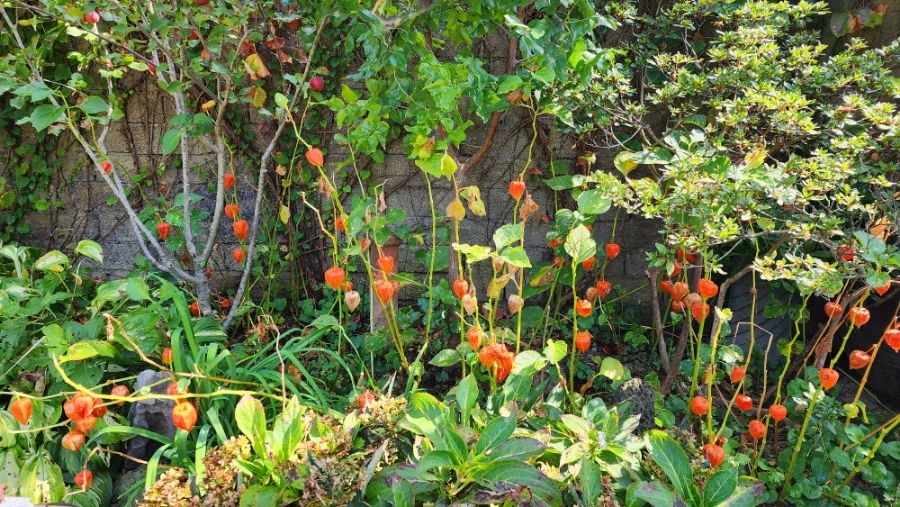 20220930%EF%BC%BF110801.jpg?type=w1