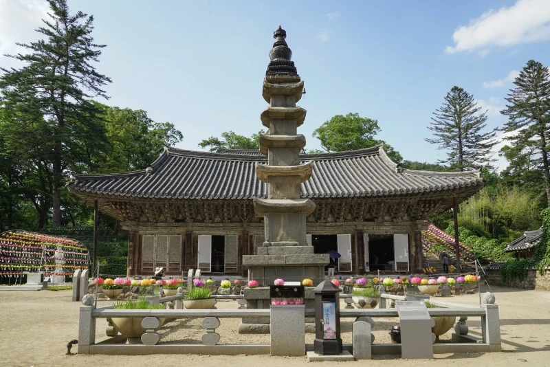 DSC09431.jpg?type=w1