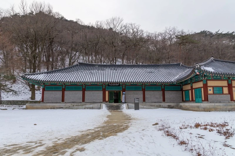 %EF%BC%BFDSC6486%EF%BC%8D161.jpg?type=w1