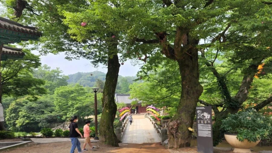 20220625%EF%BC%BF093731.jpg?type=w1