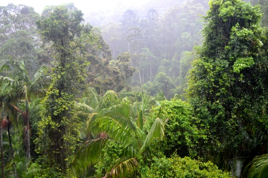 20191104_163215.jpg?type=w1