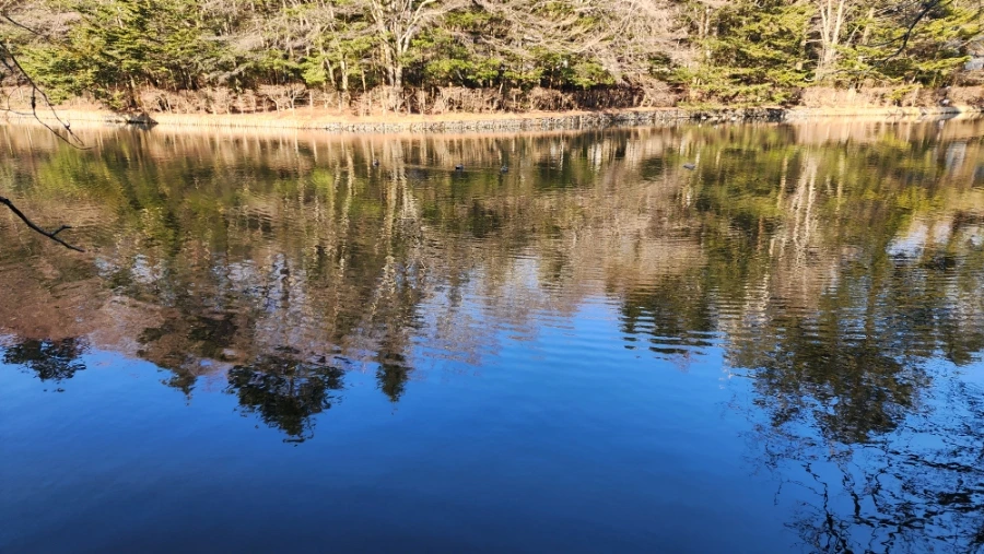 20230208%EF%BC%BF093917.jpg?type=w1