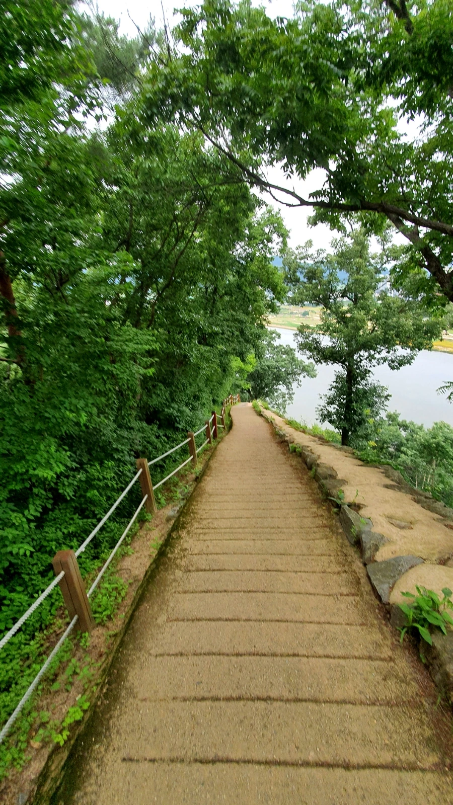 20210622%EF%BC%BF123157.jpg?type=w1