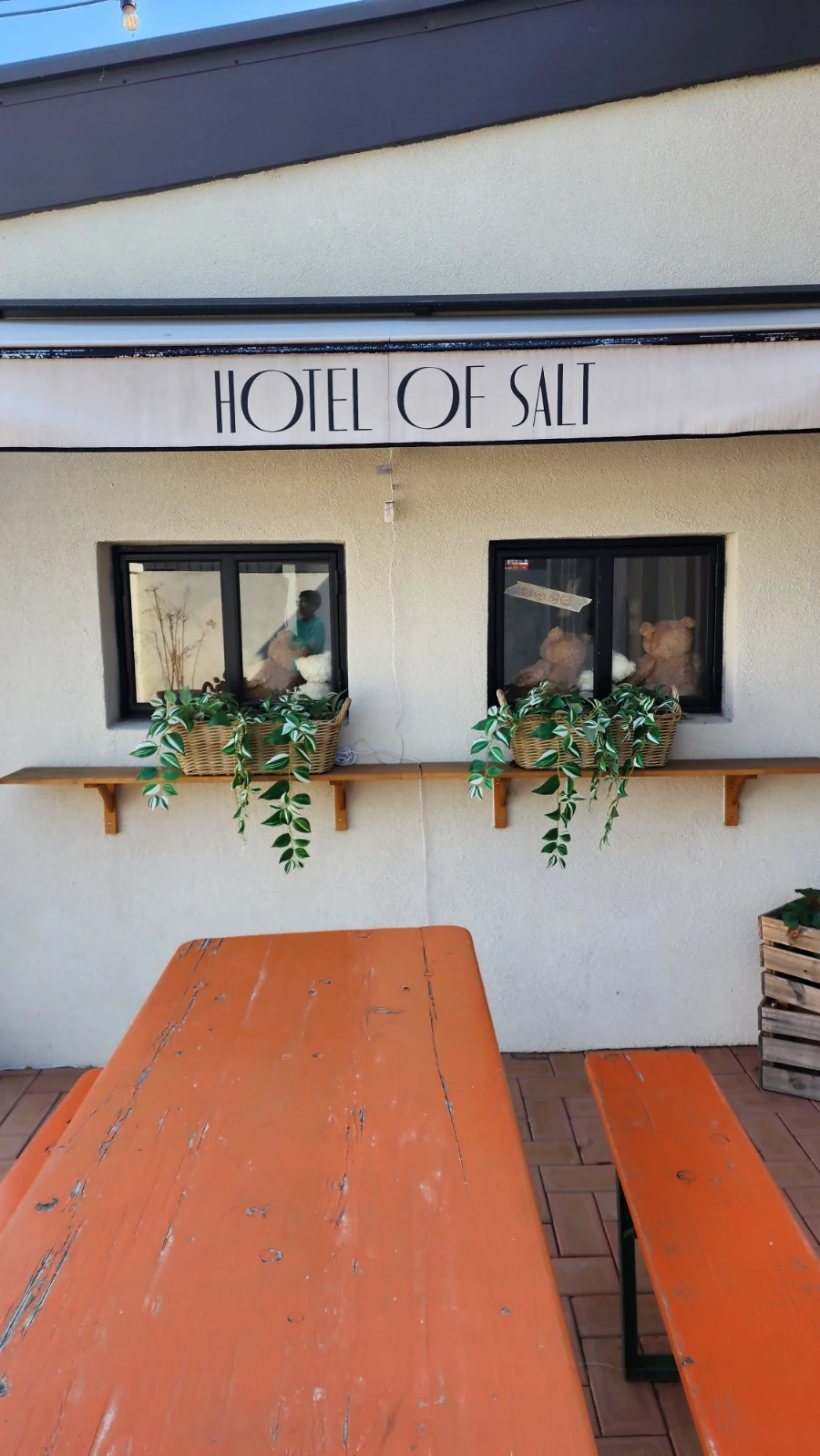 20240314%EF%BC%BF142027.jpg?type=w1