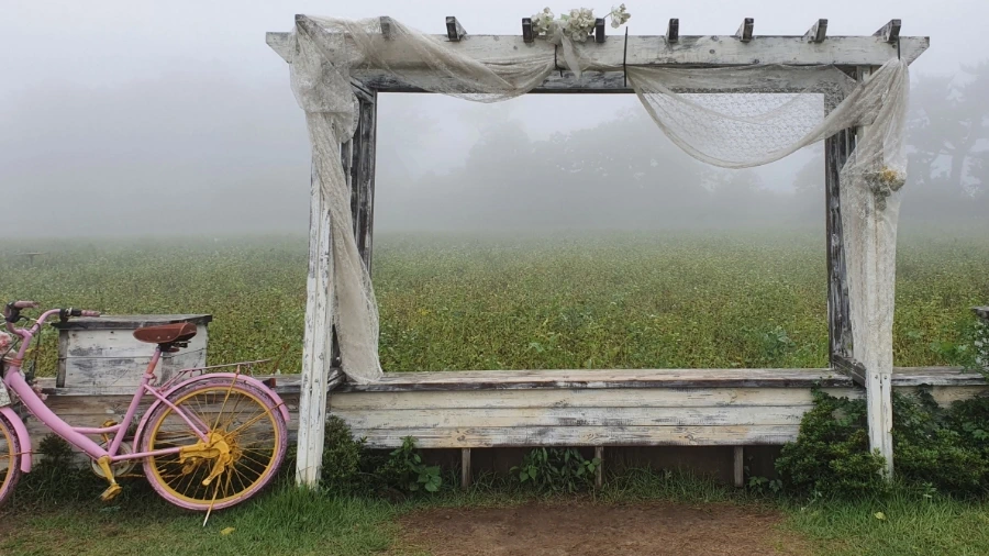 20210706_152646.jpg?type=w1