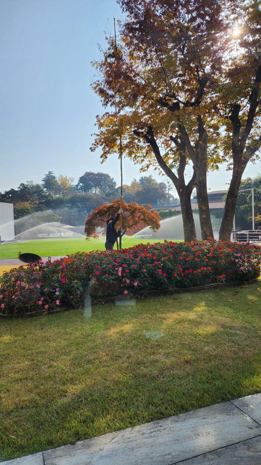 20231101%EF%BC%BF094519.jpg?type=w1