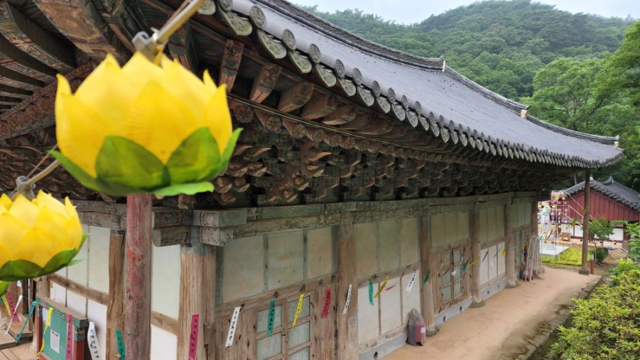 20220625%EF%BC%BF092027.jpg?type=w1