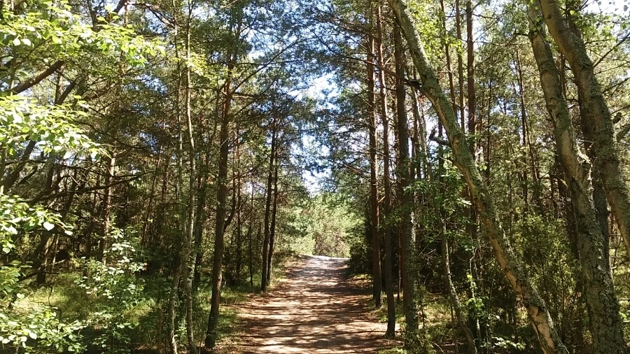 20160709_134952.jpg?type=w1