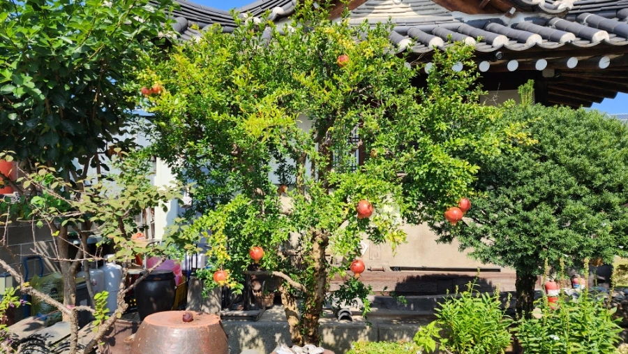 20220930%EF%BC%BF110717.jpg?type=w1