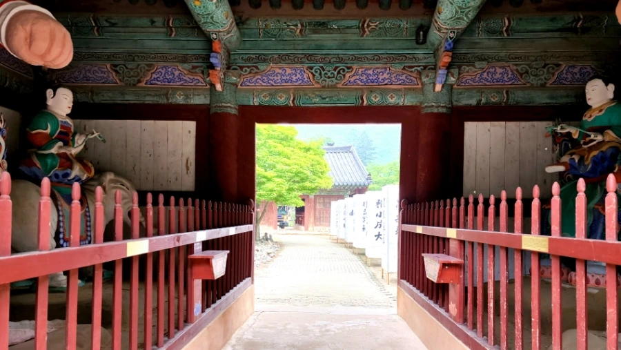 20220625%EF%BC%BF090005.jpg?type=w1