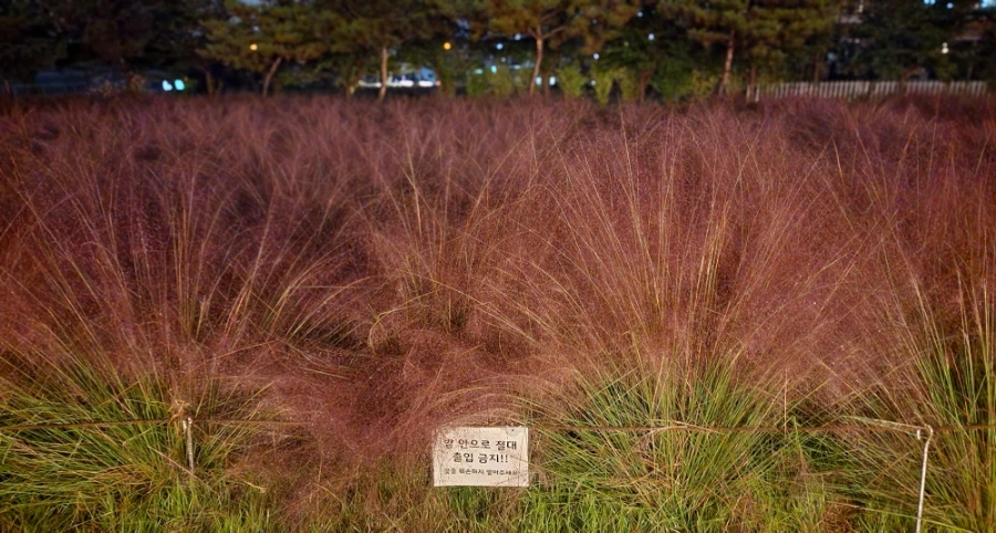 20221009%EF%BC%BF203148.jpg?type=w1