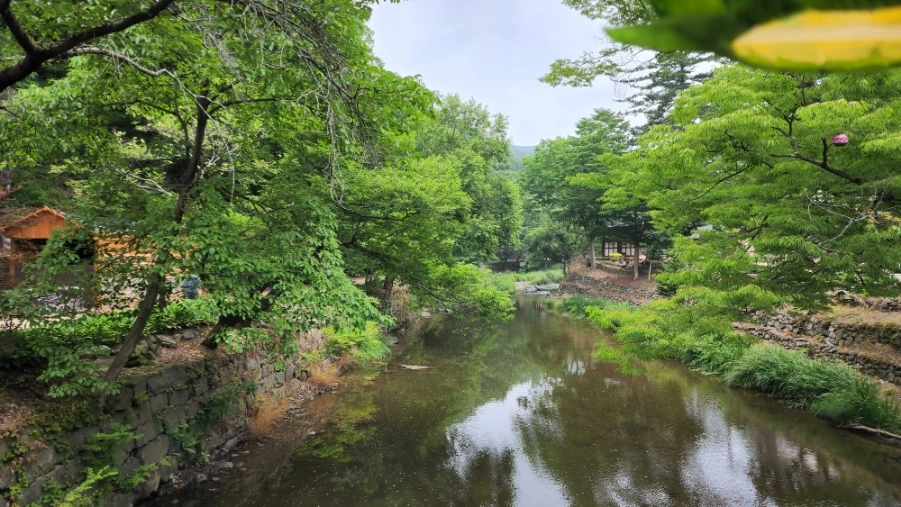 20220625%EF%BC%BF090756.jpg?type=w1