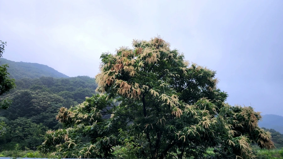 20220625%EF%BC%BF083422.jpg?type=w1