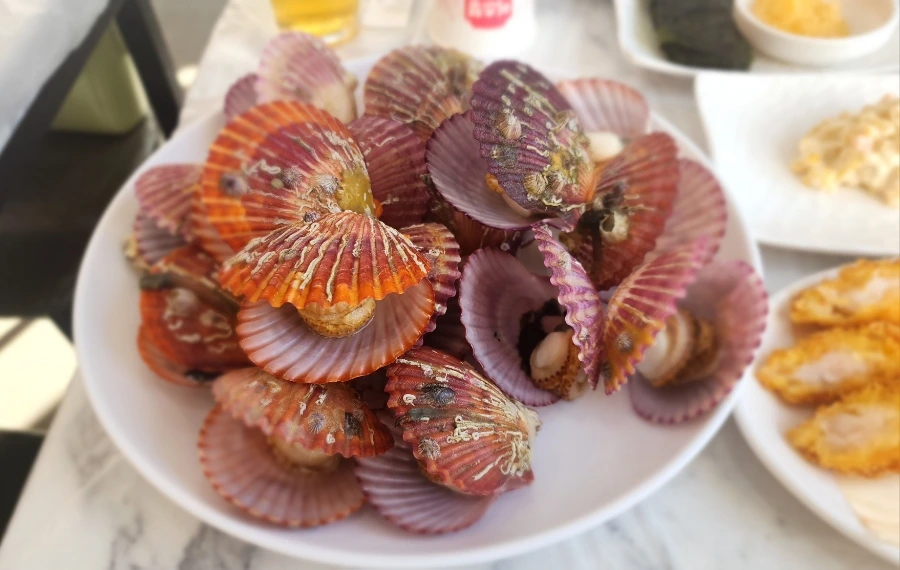 900%EF%BC%BF20241201%EF%BC%BF133856.jpg?type=w1