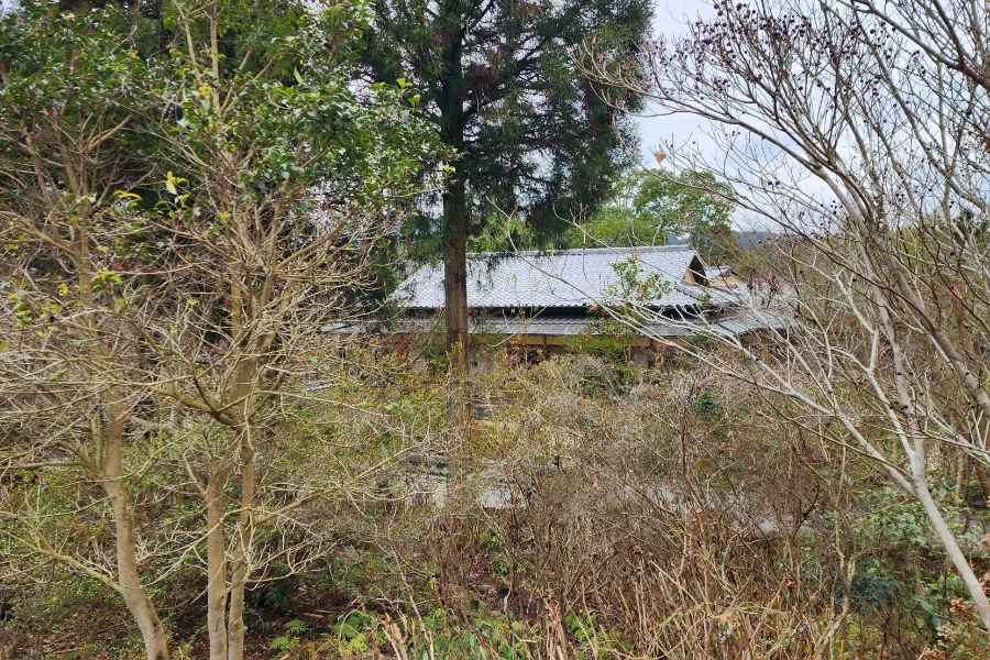 20240202%EF%BC%BF144242.jpg?type=w1