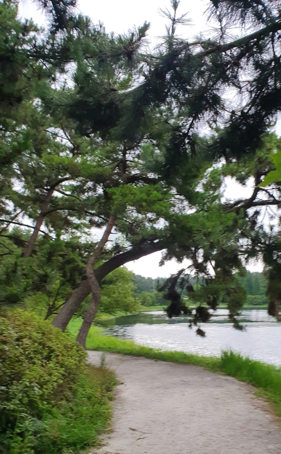 20200721_085158.jpg?type=w1