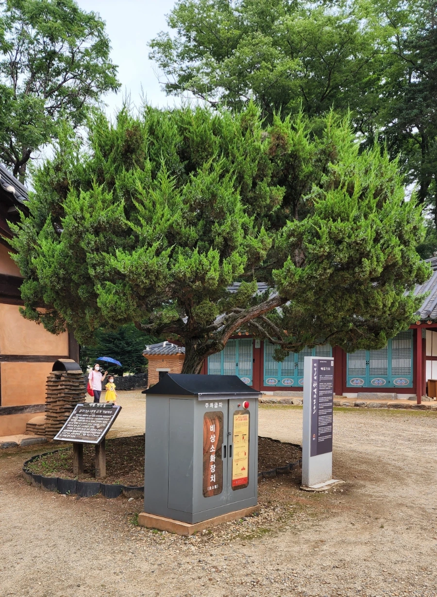 20220625%EF%BC%BF092910.jpg?type=w1