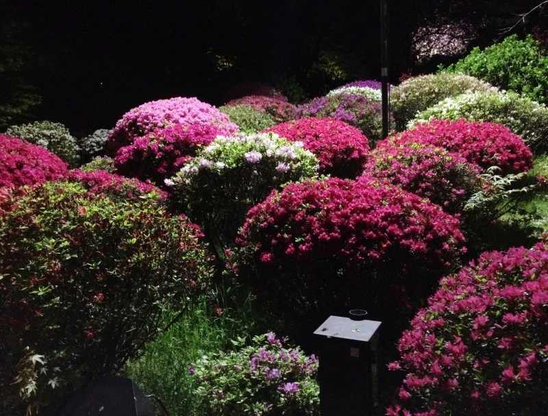 IMG%EF%BC%BF9307.JPG?type=w1