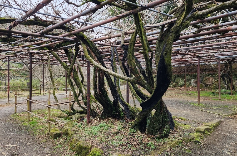 20240202%EF%BC%BF144636.jpg?type=w1